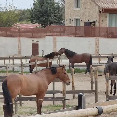 Villa Casa De Lujo Con Piscina, Padel Y Bbq