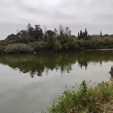 Casa Vacacional Con Piscina, Padel Y Bbq *