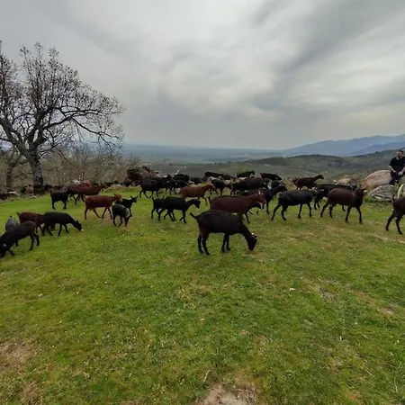 Casa Vacacional Con Piscina, Padel Y Bbq * Candeleda