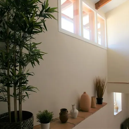 Casa Vacacional Con Piscina, Padel Y Bbq