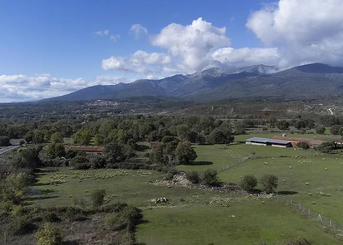 Casa Vacacional Con Piscina, Padel Y Bbq