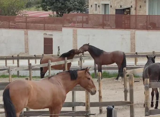 Villa Casa Vacacional Con Piscina, Padel Y Bbq