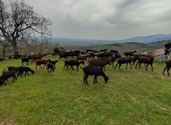 Casa Vacacional Con Piscina, Padel Y Bbq * Candeleda